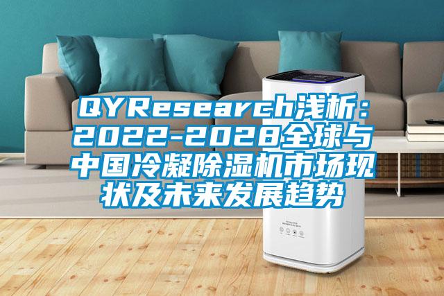 QYResearch淺析：2022-2028全球與中國冷凝除濕機市場現(xiàn)狀及未來發(fā)展趨勢
