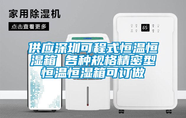 供應(yīng)深圳可程式恒溫恒濕箱 各種規(guī)格精密型恒溫恒濕箱可訂做