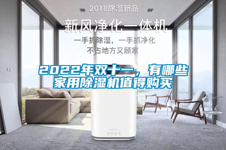 2022年雙十一，有哪些家用除濕機(jī)值得購買