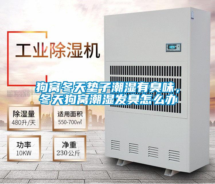 狗窩冬天墊子潮濕有臭味，冬天狗窩潮濕發(fā)臭怎么辦
