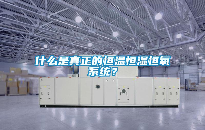 什么是真正的恒溫恒濕恒氧系統(tǒng)？