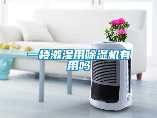 一樓潮濕用除濕機(jī)有用嗎