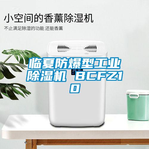 臨夏防爆型工業(yè)除濕機(jī) BCFZ10