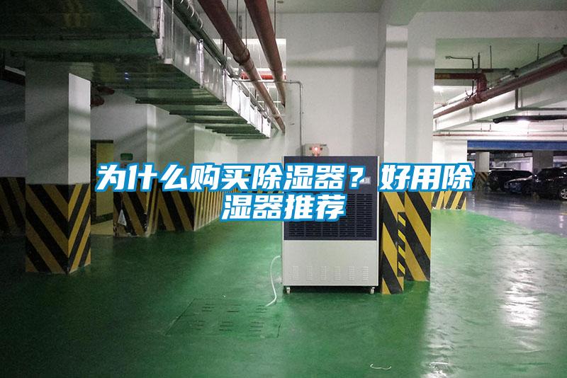 為什么購買除濕器？好用除濕器推薦