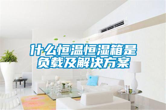 什么恒溫恒濕箱是負(fù)載及解決方案