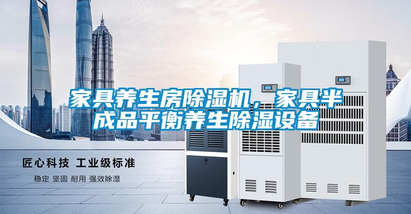 家具養(yǎng)生房除濕機，家具半成品平衡養(yǎng)生除濕設(shè)備