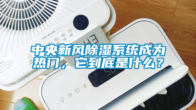 中央新風(fēng)除濕系統(tǒng)成為熱門(mén)，它到底是什么？