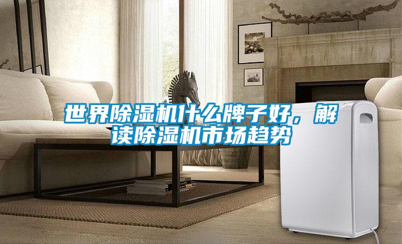世界除濕機(jī)什么牌子好，解讀除濕機(jī)市場(chǎng)趨勢(shì)