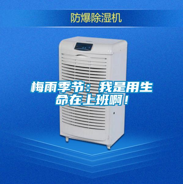 梅雨季節(jié)：我是用生命在上班??！