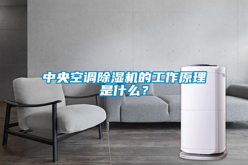 中央空調(diào)除濕機(jī)的工作原理是什么？