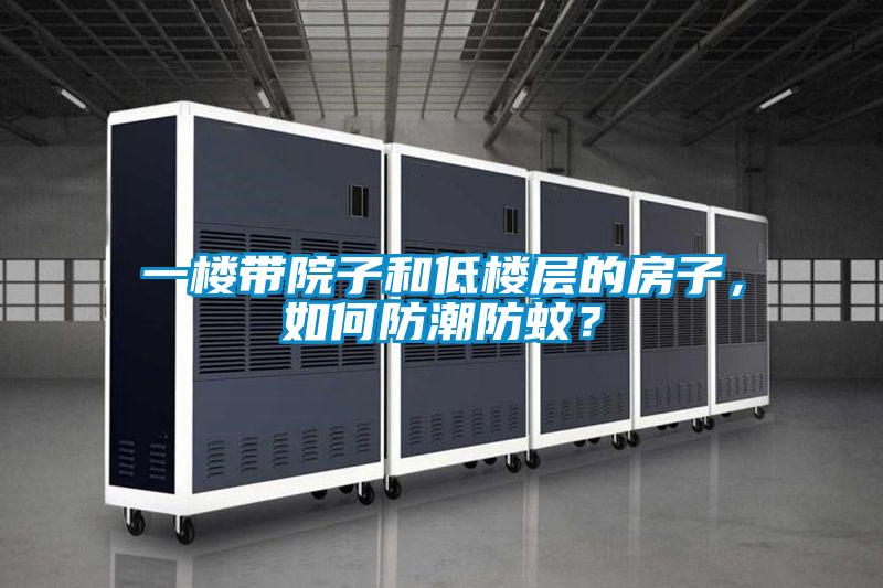 一樓帶院子和低樓層的房子，如何防潮防蚊？