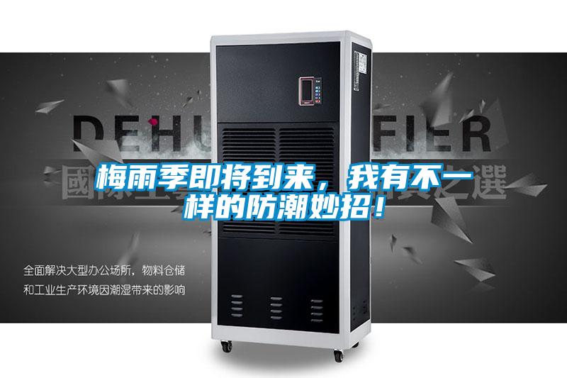 梅雨季即將到來(lái)，我有不一樣的防潮妙招！