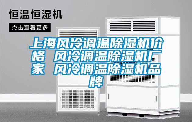 上海風(fēng)冷調(diào)溫除濕機(jī)價格 風(fēng)冷調(diào)溫除濕機(jī)廠家 風(fēng)冷調(diào)溫除濕機(jī)品牌