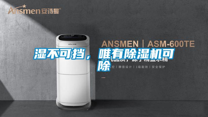 濕不可擋，唯有除濕機(jī)可除
