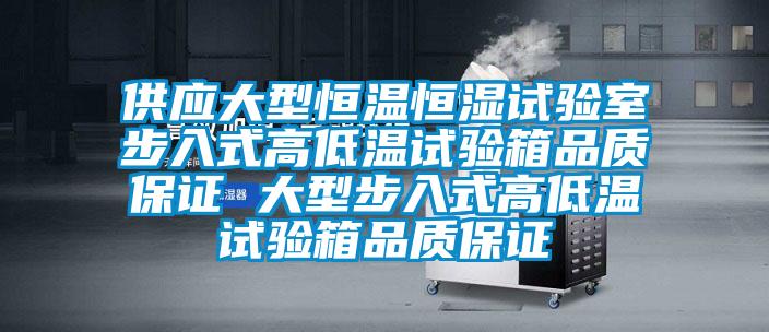 供應(yīng)大型恒溫恒濕試驗室步入式高低溫試驗箱品質(zhì)保證 大型步入式高低溫試驗箱品質(zhì)保證