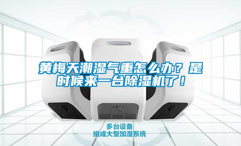 黃梅天潮濕氣重怎么辦？是時候來一臺除濕機了！
