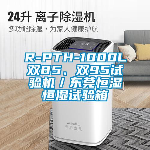 R-PTH-1000L雙85、雙95試驗(yàn)機(jī)／東莞恒濕恒濕試驗(yàn)箱