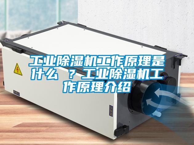 工業(yè)除濕機工作原理是什么 ？工業(yè)除濕機工作原理介紹
