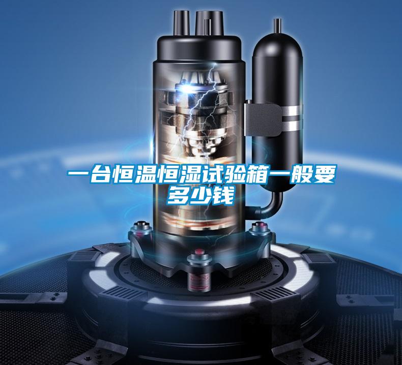 一臺恒溫恒濕試驗(yàn)箱一般要多少錢