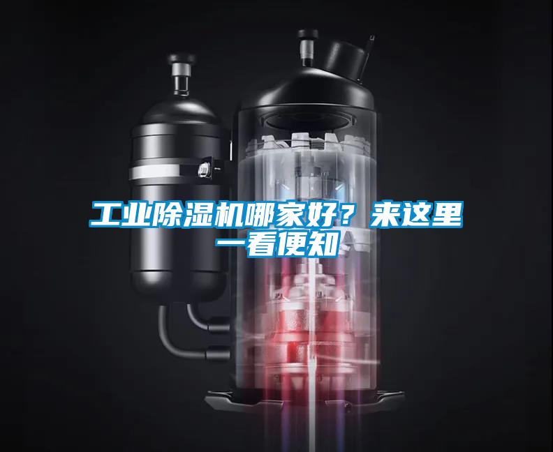 工業(yè)除濕機(jī)哪家好？來這里一看便知