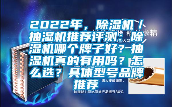 2022年，除濕機／抽濕機推薦評測：除濕機哪個牌子好？抽濕機真的有用嗎？怎么選？具體型號品牌推薦