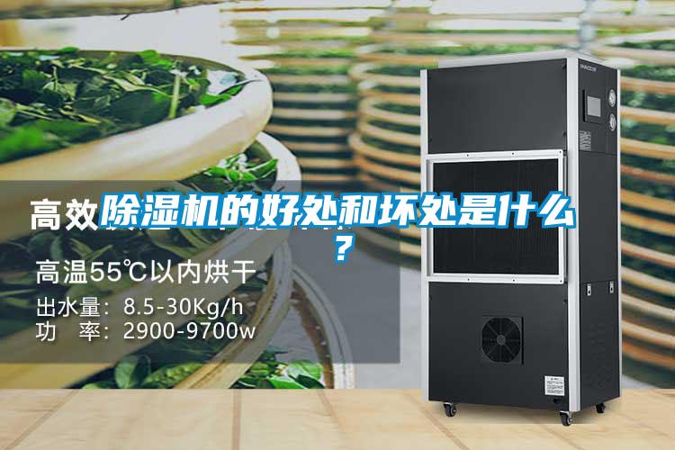 除濕機的好處和壞處是什么？