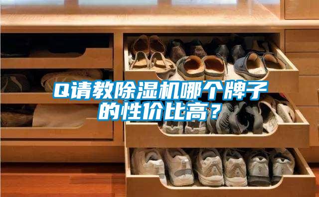 Q請(qǐng)教除濕機(jī)哪個(gè)牌子的性價(jià)比高？