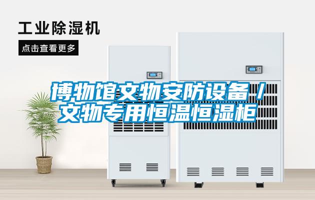 博物館文物安防設(shè)備／文物專(zhuān)用恒溫恒濕柜