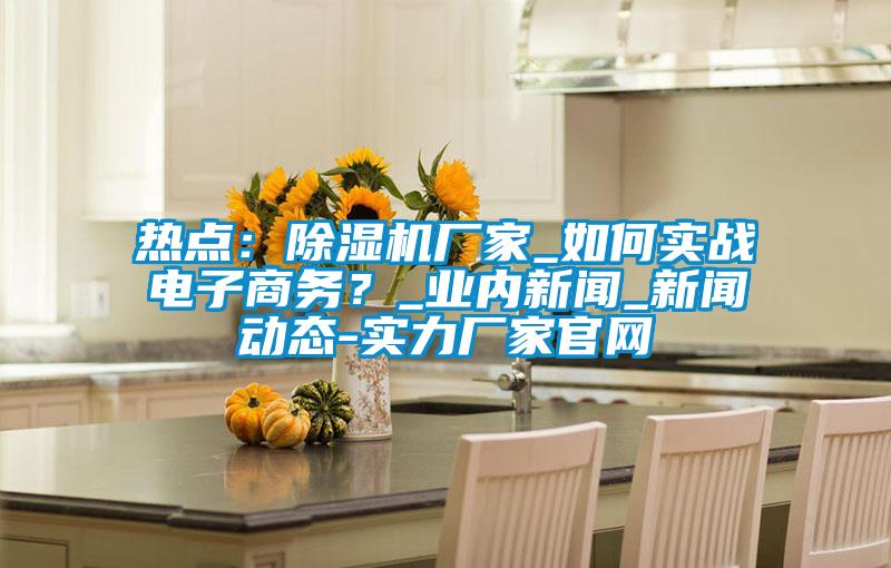 熱點：除濕機廠家_如何實戰(zhàn)電子商務(wù)？_業(yè)內(nèi)新聞_新聞動態(tài)-實力廠家官網(wǎng)