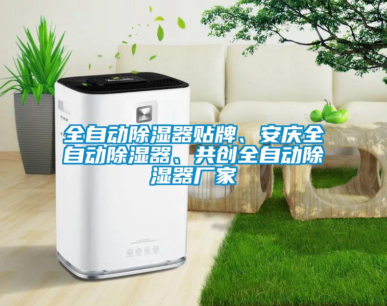 全自動除濕器貼牌、安慶全自動除濕器、共創(chuàng)全自動除濕器廠家