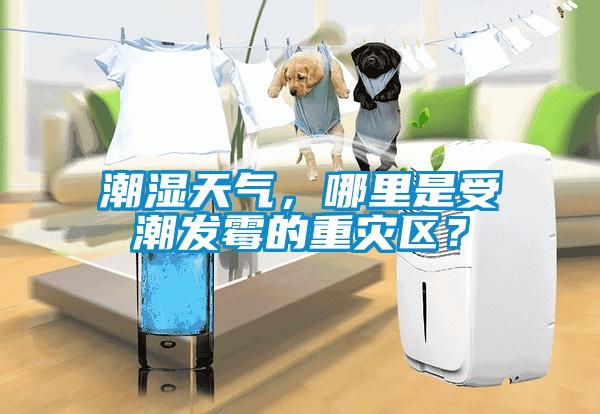 潮濕天氣，哪里是受潮發(fā)霉的重災(zāi)區(qū)？