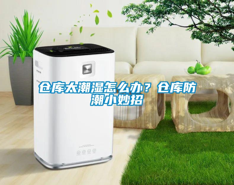 倉庫太潮濕怎么辦？倉庫防潮小妙招