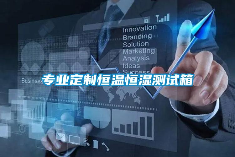 專業(yè)定制恒溫恒濕測(cè)試箱