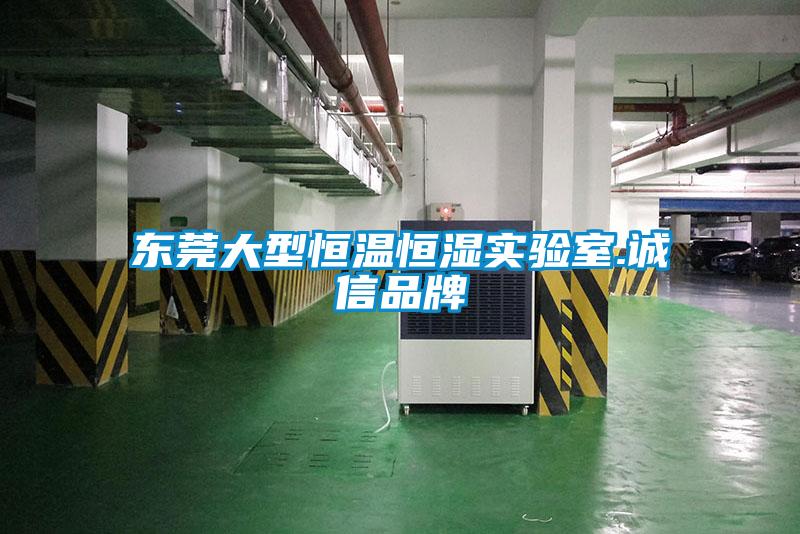 東莞大型恒溫恒濕實(shí)驗(yàn)室.誠(chéng)信品牌