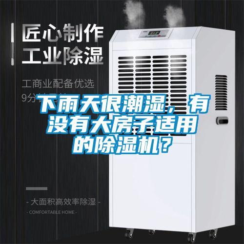 下雨天很潮濕，有沒有大房子適用的除濕機(jī)？