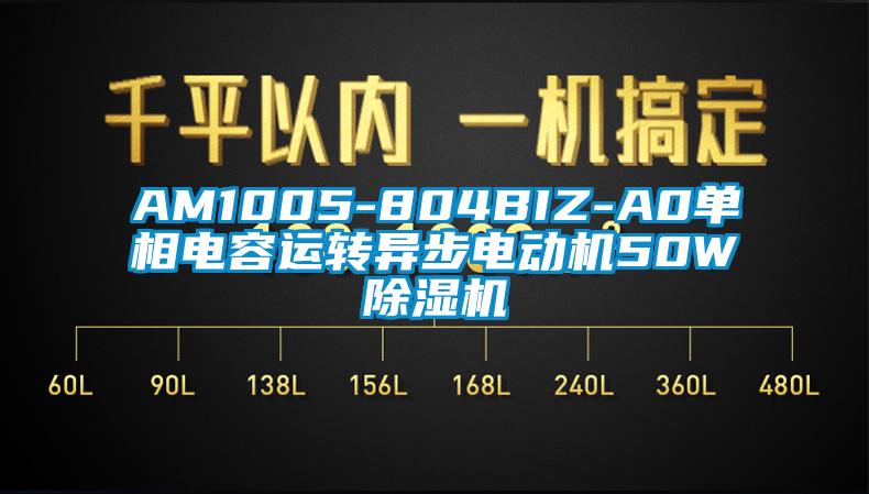 AM1005-804BIZ-A0單相電容運轉(zhuǎn)異步電動機50W除濕機
