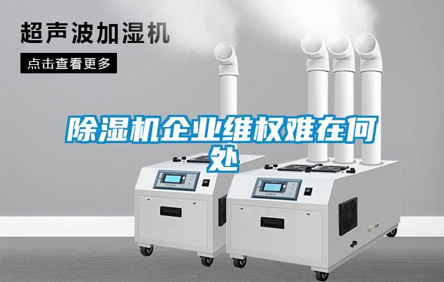 除濕機企業(yè)維權(quán)難在何處