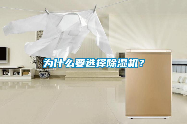 為什么要選擇除濕機？