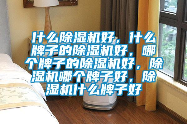 什么除濕機(jī)好，什么牌子的除濕機(jī)好，哪個(gè)牌子的除濕機(jī)好，除濕機(jī)哪個(gè)牌子好，除濕機(jī)什么牌子好