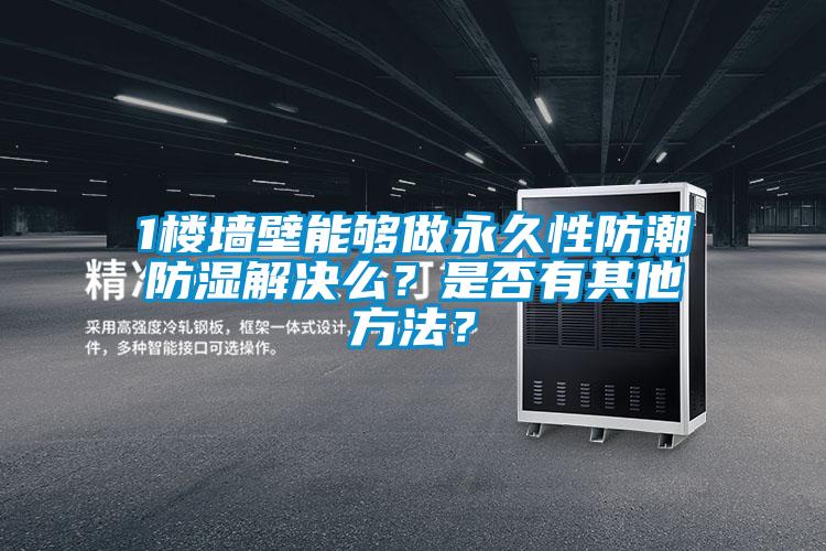 1樓墻壁能夠做永久性防潮防濕解決么？是否有其他方法？