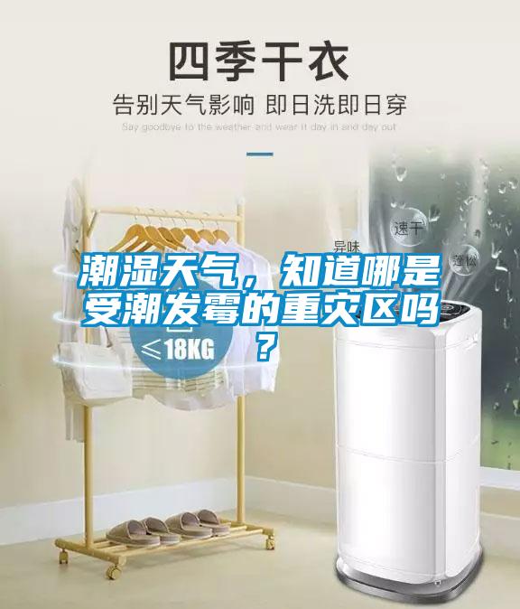 潮濕天氣，知道哪是受潮發(fā)霉的重災(zāi)區(qū)嗎？