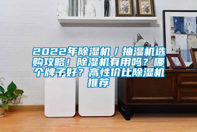 2022年除濕機／抽濕機選購攻略！除濕機有用嗎？哪個牌子好？高性價比除濕機推薦