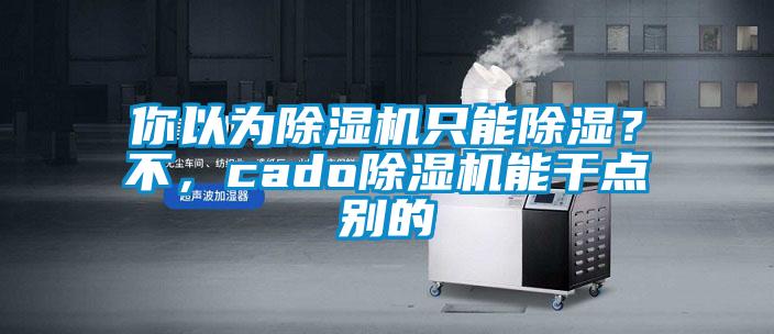你以為除濕機只能除濕？不，cado除濕機能干點別的