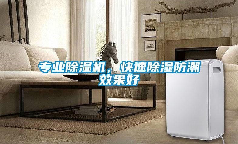 專業(yè)除濕機(jī)，快速除濕防潮效果好