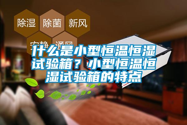 什么是小型恒溫恒濕試驗(yàn)箱？小型恒溫恒濕試驗(yàn)箱的特點(diǎn)