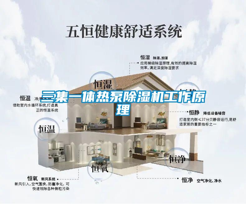 三集一體熱泵除濕機(jī)工作原理