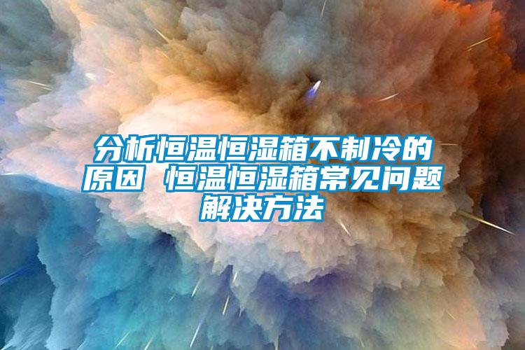 分析恒溫恒濕箱不制冷的原因 恒溫恒濕箱常見(jiàn)問(wèn)題解決方法