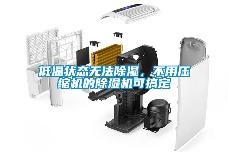 低溫狀態(tài)無法除濕，不用壓縮機(jī)的除濕機(jī)可搞定