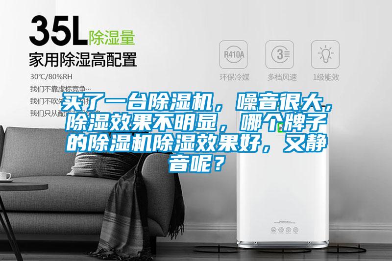 買了一臺除濕機，噪音很大，除濕效果不明顯，哪個牌子的除濕機除濕效果好，又靜音呢？