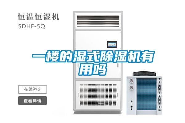 一樓的濕式除濕機(jī)有用嗎